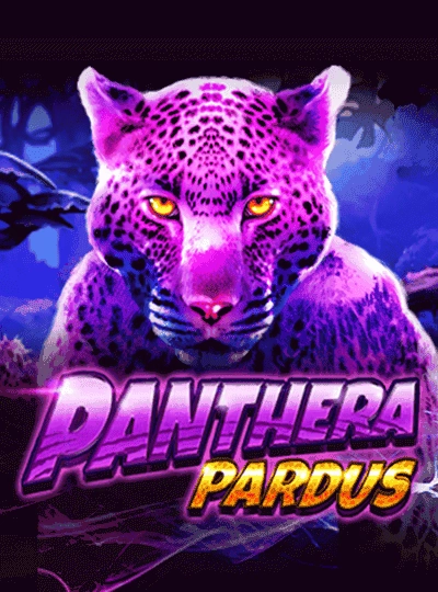 Bingo game cover with numbered balls